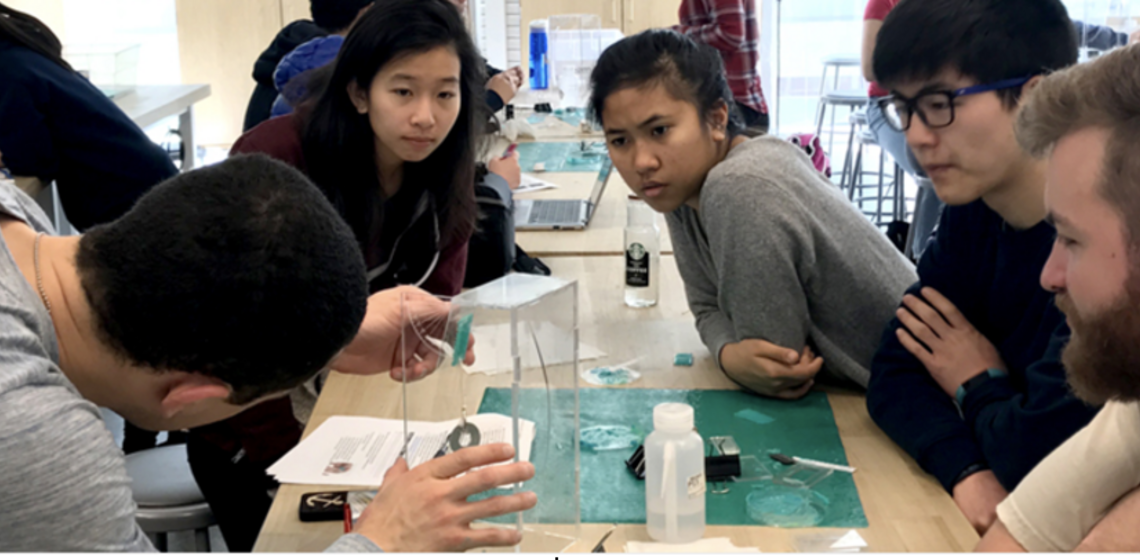 Berkeley Discovery student working in a lab