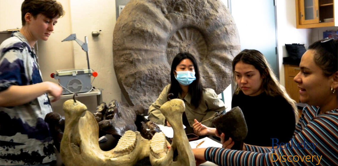 students looking at dinosaur bones on a table